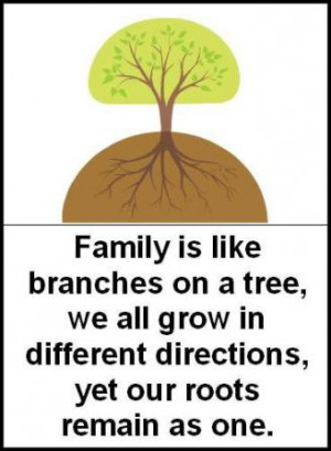 Family Is Like Branches On A Tree, We All Grow In Different Directions ...