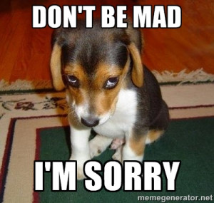 Sad Puppy - don't be mad i'm sorry