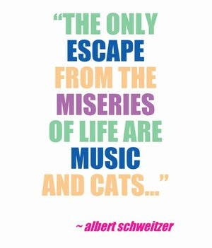 Albert Schweitzer cat quote #catquote #albertschweitzer