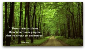 In the midst of movement and chaos, keep stillness inside of you.