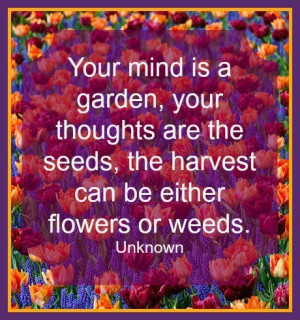 Your mind is a Garden
