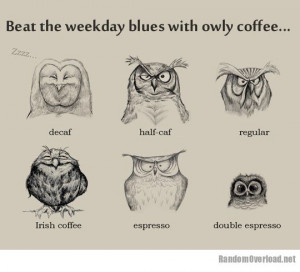 Owly coffee