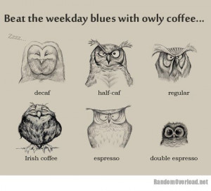 Owly coffee