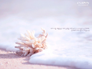 Wallpapers are free for personal use only. You may not use them for ...