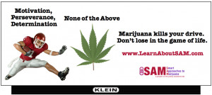 ... The Stoner Bowl: Marijuana Is Safer Vs. Marijuana Will Ruin Your Life