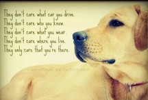 Dog Quotes & Poems / Inspiring quotations and poems about dogs - www ...