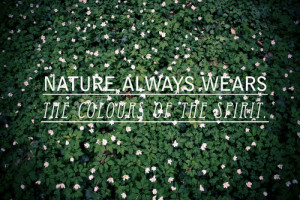 25 Indigenous Quotes About Nature