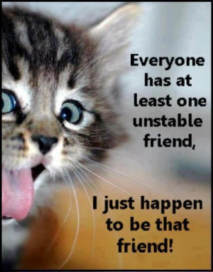 Funny Cats .. Best Funniest Cat Quotes