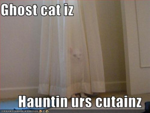 Do deaf people make better paranormal investigators ? Batsquatch !