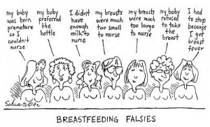Breastfeeding Falsies....