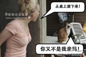 邪恶_搞笑gif动态图片|雷人搞笑gif囧图