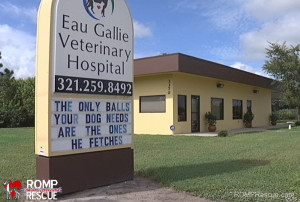 Funny Vet Clinic Signs