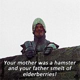 French Knight-Monty Python and The Holy Grail.