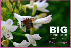 Flower - Bee - Quote