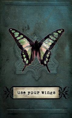 ... use your wings inspiring amp inspirational quotes amp sayings fly high