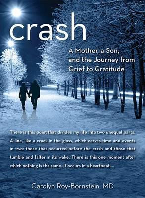 crash a mother a son and the journey from grief to gratitude by dr ...