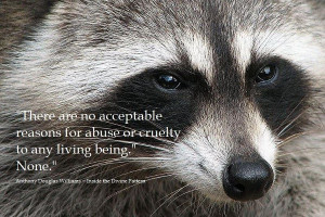 There are no acceptable reasons for abuse or cruelty to any living ...