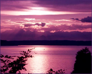 inspirational-quotes-s...Love Quote: purple sunset at