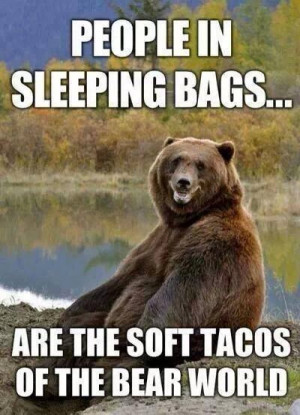 People in sleeping bags – bear meme