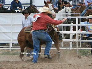 Calf Roping Quotes A calf roping horse with his