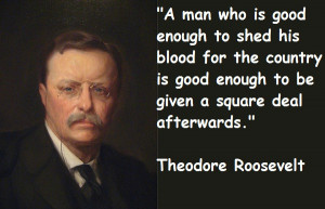Theodore Roosevelt Quotes More