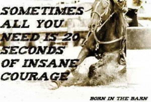Sometimes, all you need is 20 seconds of insane courage..