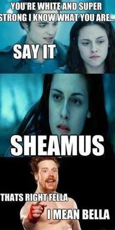 wwe funny funny dust jackets wwe funny wwe memes funny wwe dust ...