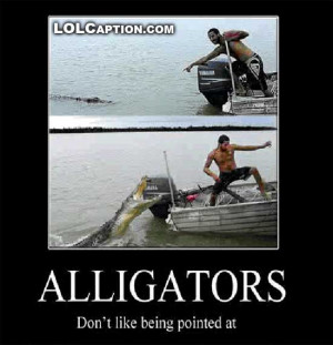 funny-demotivational-posters-alligators-dont-like-being-pointed-at ...