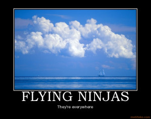 FLYING NINJAS - They're everywhere demotivational poster