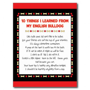Funny Things I Learned From My English Bulldog Postcard