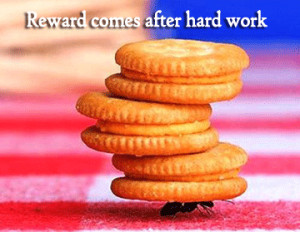 ask for a raise, asking for a raise, reward comes after hard work