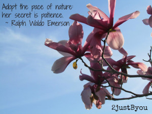do you have any great nature quotes sayings or words to share please ...