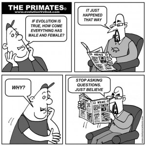 Click each thumbnail to get the full size image.