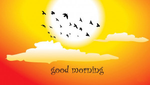 Sunny Good Morning Wallpapers