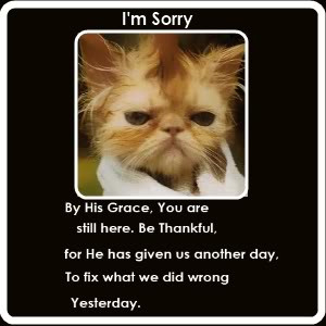 url=http://www.pics22.com/i-am-sorry-cat-quote/][img] [/img][/url]