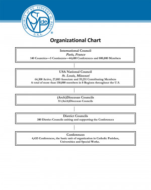 Organizational Structure