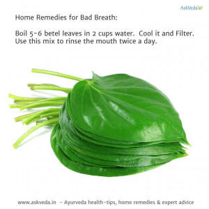 Related Pictures bad breath quotes funny bad breath pictures