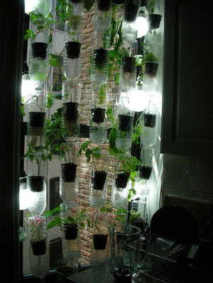 kitchen herb window farms