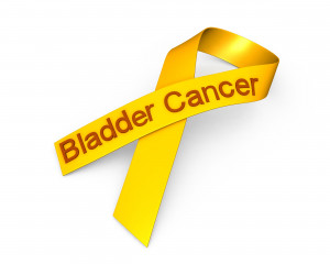 Bladder Cancer Awareness Ribbon