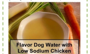 Pictures of low sodium bread machine recipes low sodium fried chicken ...