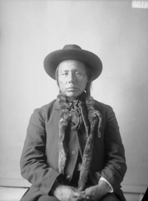 bull chief aka mcdonald ponca 1896 white chief ponca 1898