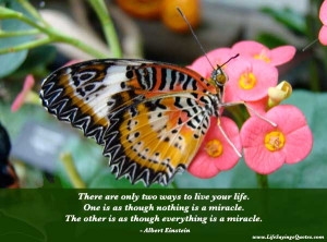 Positive attitude quotes, famous positive attitude quotes