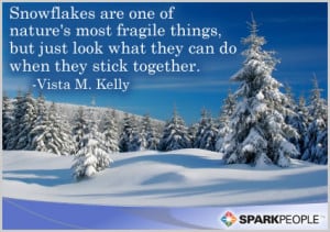 Motivational Quote - Snowflakes are one of nature’s most fragile ...