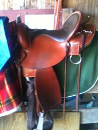 ... Saare Endurance Saddle at the Horse Classifieds forum - Horse Forums