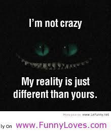 Not Crazy My Reality Is Just Different Than Yours Funny Quotes Comment ...