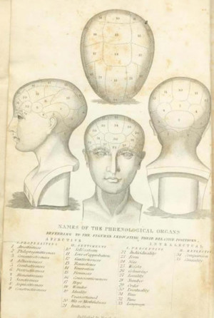This engraving from Combe s Elements of Phrenology quot Names of the