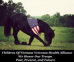 ... AO2GEN Children Of Vietnam Veterans Health Alliance On May 24, 2012
