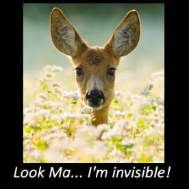 Invisible Quotes And Sayings http://thegardeningcook.com/inspirational ...