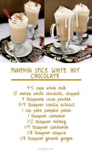 Pumpkin Spice Hot Chocolate recipe recipes ingredients instructions ...