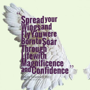 Quotes Picture: spread your wings and fly you were born to soar ...